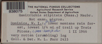 Image Associated With the Occurence